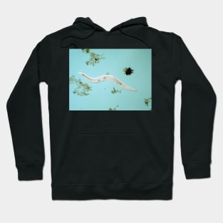 Microscopic free-living nematode worm from garden soil Hoodie